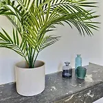 Wonderhost, Les De La Place Margot 포