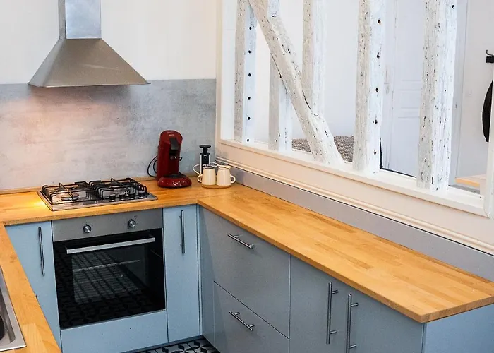 Wonderhost, Les De La Place Margot Aparthotel Pau