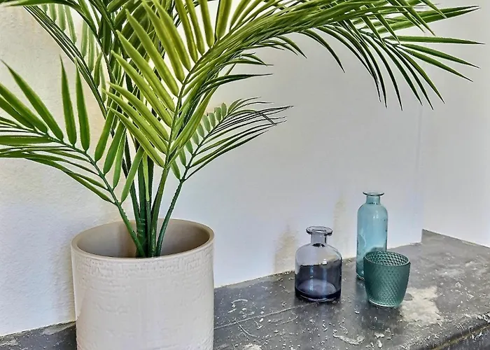 Wonderhost, Les De La Place Margot Pau